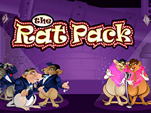 Азартная игра The Rat Pack